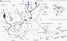 Hinterrad trommelbremse