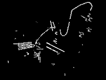 Bremschlauchen - Bremszangen