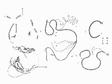Spannungsreglerern - Elektronisches Steuergerern - Zündspule