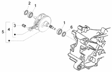 Kurbegehäusebefest.