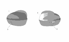 Acc. - Tuning Motorteile