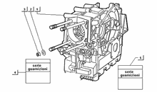Kurbegehäusebefest.