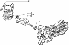 Kurbegehäusebefest.