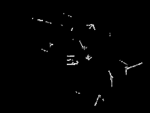 Mittlere Verklaidung - Fußraster