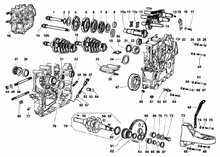 Kurbegehäusebefest.