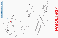 Vorderradgabel PAIOLI 37