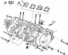 Kurbegehäusebefest.