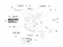 Plaketten - Verzierungen