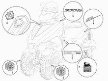 Plaketten - Verzierungen