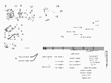 Mitt. elektrische Anlage