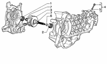 Kurbegehäusebefest.