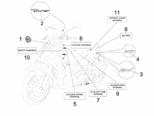 Plaketten - Verzierungen