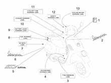 Plaketten - Verzierungen